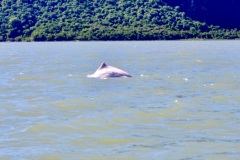 bbf952088da06e6b33a60e63435725a1