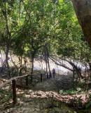 334226770_775407937265404_8742631034139444549_n